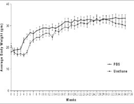 Line graphs showing the average body weight (in grams)