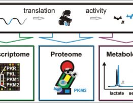 PKM2 controls cancer metabolism at a systems-level. Genome, transcriptome,
