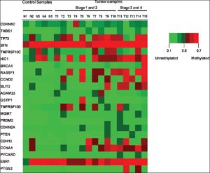 Gene-specific methylation changes in primary human breast cancers and normal