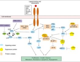 Cell signaling pathways in lung cancer.