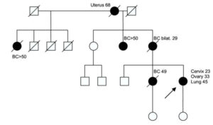 BRCA1/2 mutation screening and LOH analysis of lung adenocarcinoma tissue in a multiple-cancer patient with a strong family history of breast cancer