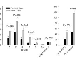 Feeding of soy protein isolate to rats during pregnancy and lactation suppresses formation of aberrant crypt foci in their progeny's colons: interaction of diet with fetal alcohol exposure