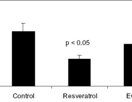 Resveratrol, but not EGCG, in the diet suppresses DMBA-induced mammary cancer in rats