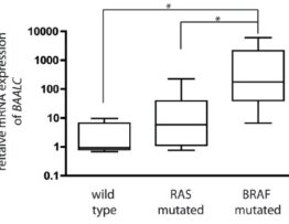BRAF V600E mutations in malignant melanoma are associated with increased expressions of BAALC