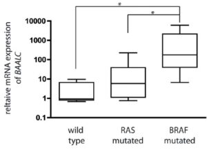 BRAF V600E mutations in malignant melanoma are associated with increased expressions of BAALC