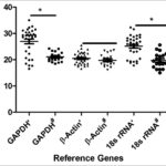 Identification of suitable reference genes in blood samples of carcinoma lung patients using quantitative real-time polymerase chain reaction